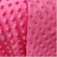Dot- Raspberry