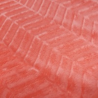 Coral Zig Zag Brushed Minky          