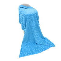 Heart Embossed Turquoise Minky****PRICE REDUCED