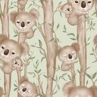 Koala Family in Eucalyptus trees, Green background