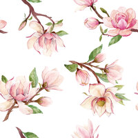 B- Magnolia white background, OPEN