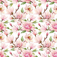 C- Magnolia white background,  CLOSE