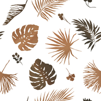 B- PALM MONSTERA LEAVES WHITE BACKGROUND (One metre)