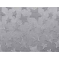 Embossed Light Grey Star Minky (Half meter)