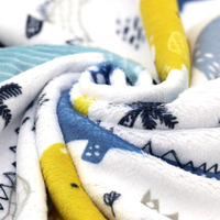SPECIAL BUYS - Minky Prints and Embossed